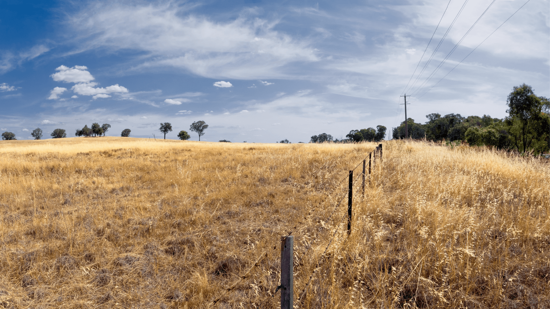 Farm land with pole
