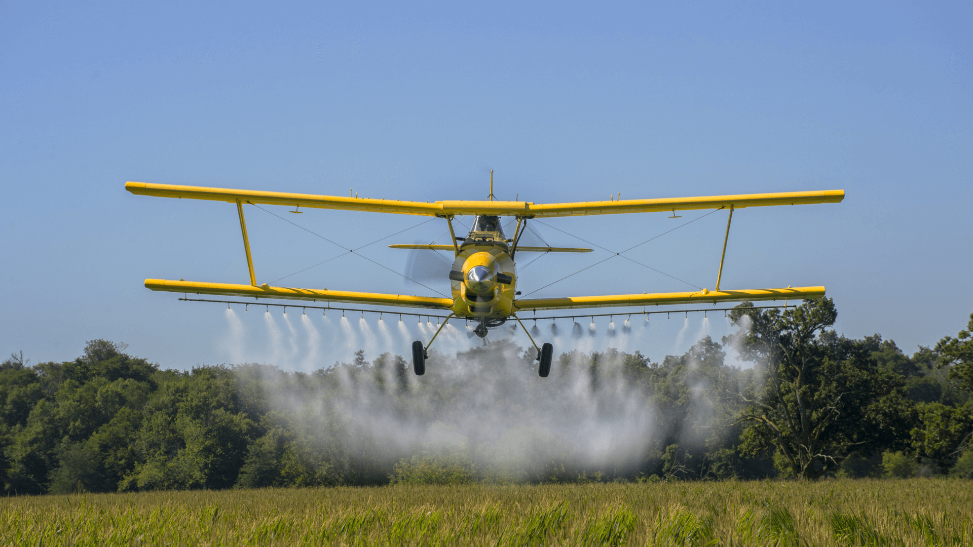 Yellow crop duster plane flying over agricultural field