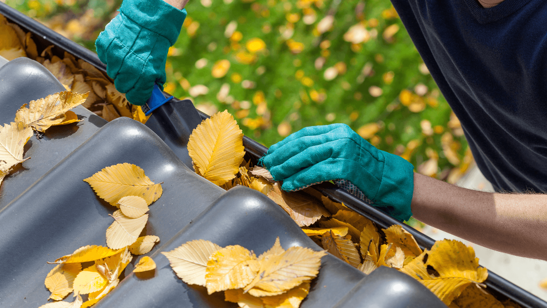 Person in gloves cleaning leaves from gutter