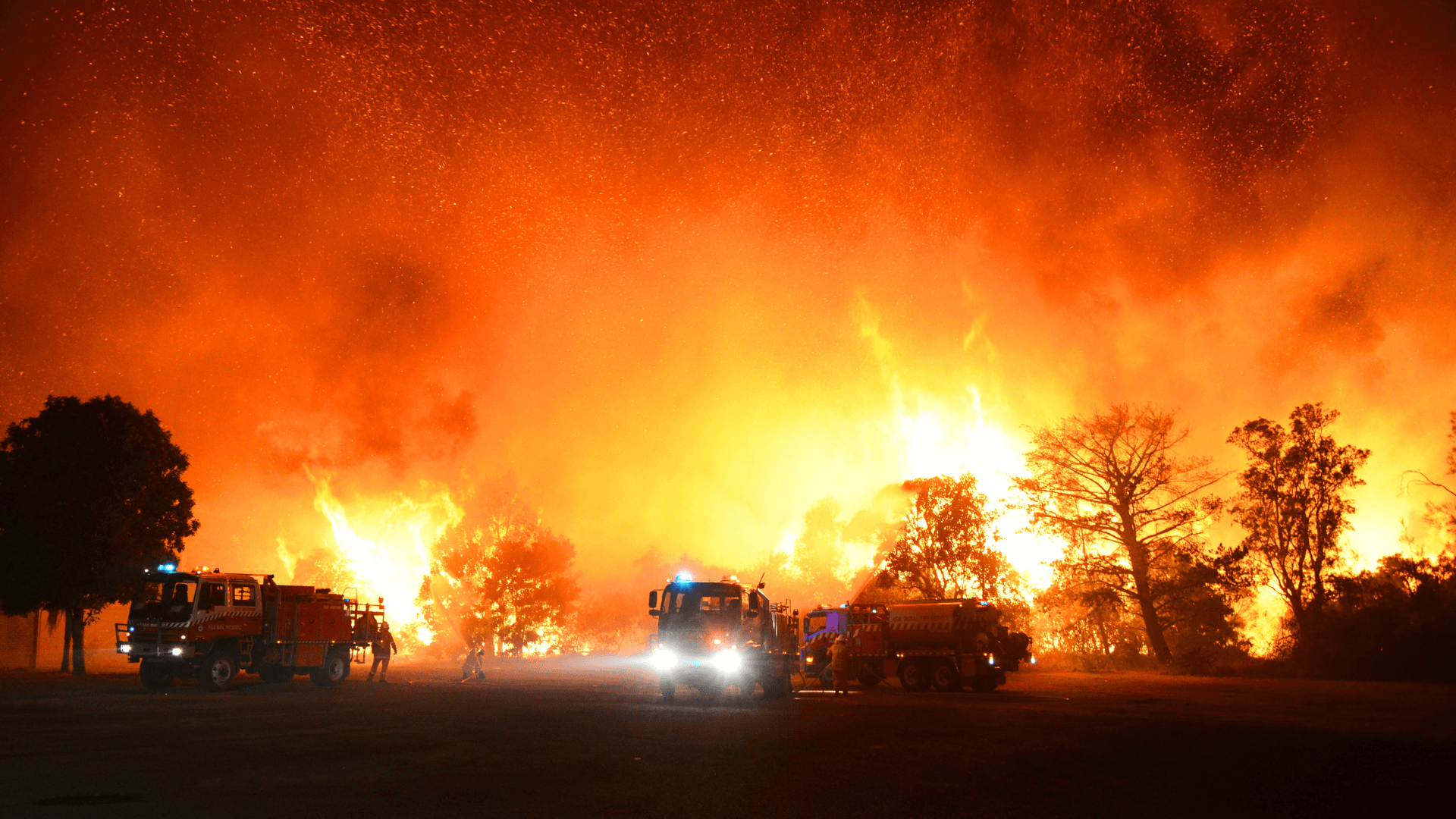 Emergency vehicles attending bushfire