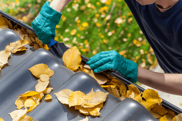 Person in gloves cleaning leaves from gutter