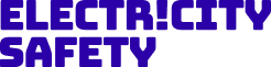 Electricity Safety Logo